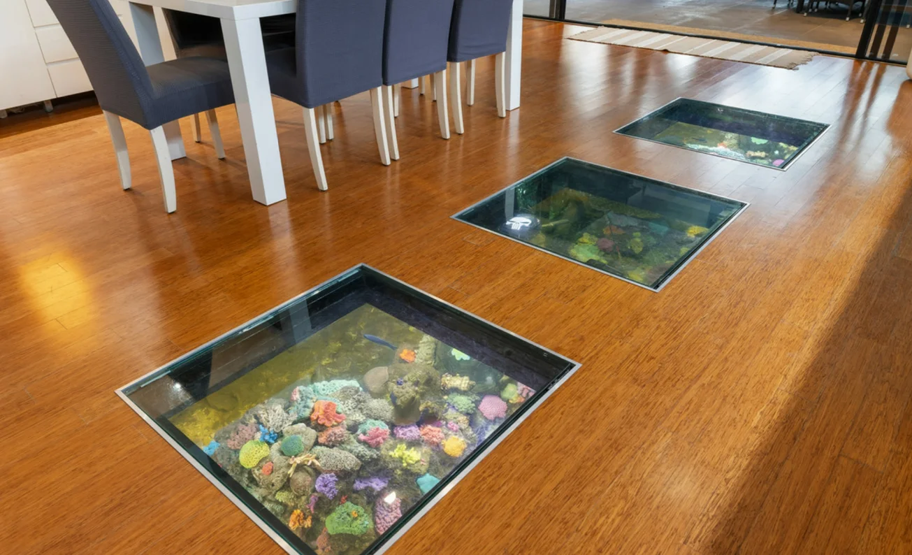 Capalaba aquarium home

