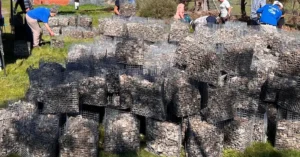 Oyster Baskets To Support Reef Recovery Across Moreton Bay