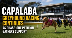 Capalaba Greyhound Racing Continues As Phase-Out Petition Reaches 5,293 Signatures 